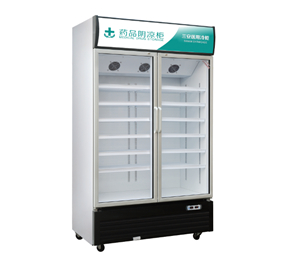药品阴凉柜普通款（双门）药店GSP认证专用